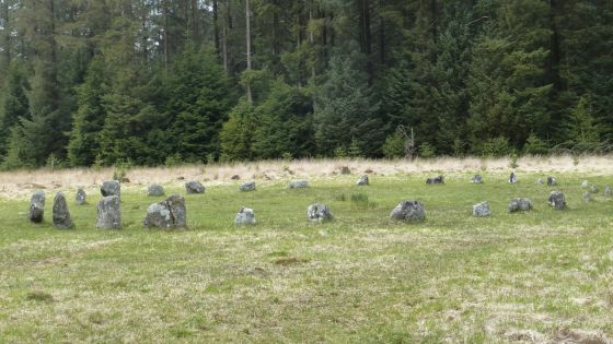 Fernworthy (Stone Circle)