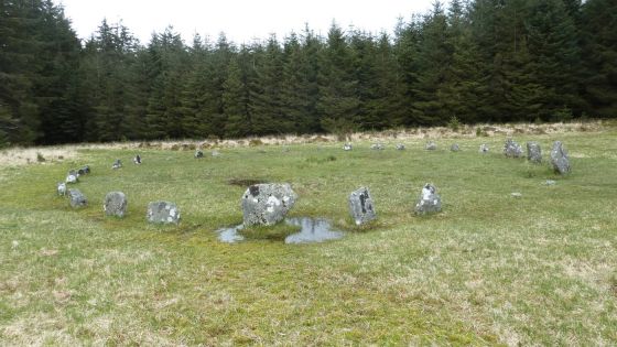 Fernworthy (Stone Circle)