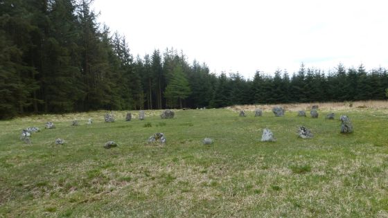 Fernworthy (Stone Circle)