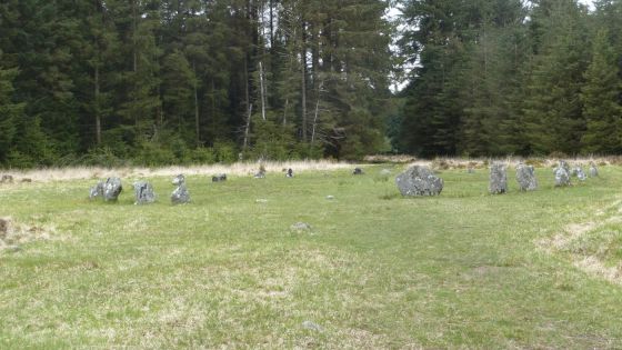 Fernworthy (Stone Circle)