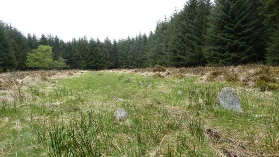 Fernworthy stone row (North)