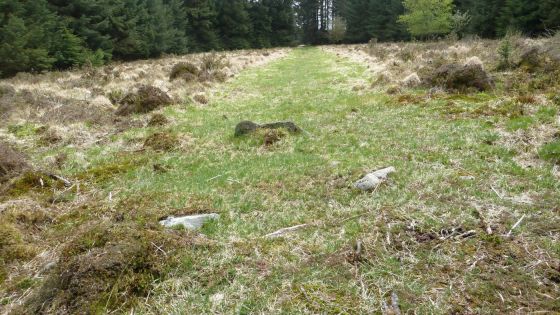 Fernworthy stone row (North)