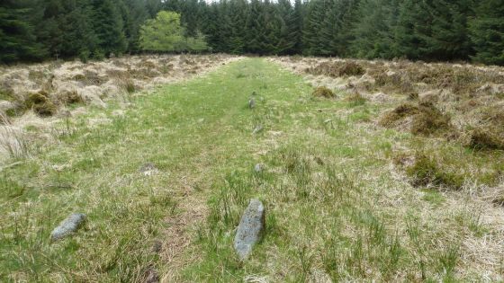 Fernworthy stone row (North)