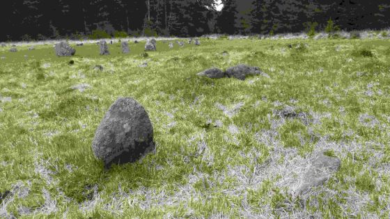 Fernworthy SE (Cairn(s))