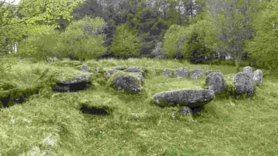 Fernworthy Round House