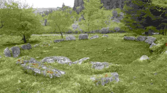 Fernworthy Round House