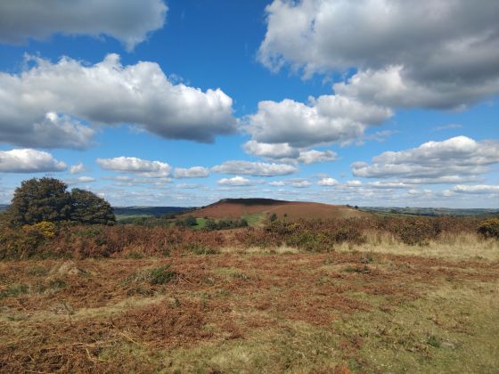 Twyn-y-Gaer (Mynydd Illtyd) (Hillfort)