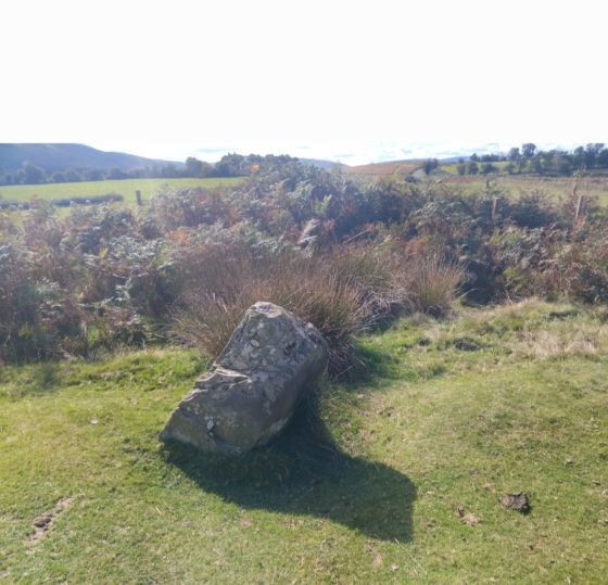 Mynydd Illtyd (Standing Stone / Menhir)