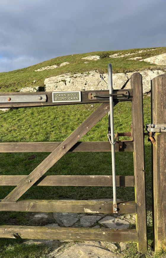 Cairnholy