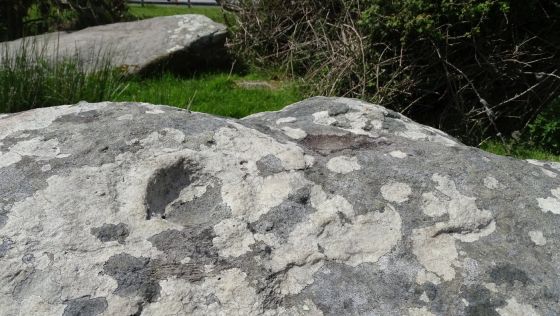 Fallen stones near Milltown Milestone (Standing Stones)