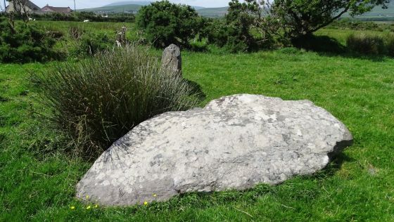 Fallen stones near Milltown Milestone (Standing Stones)