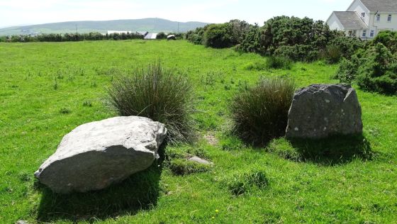 Fallen stones near Milltown Milestone (Standing Stones)