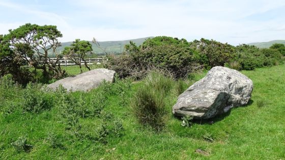 Fallen stones near Milltown Milestone (Standing Stones)