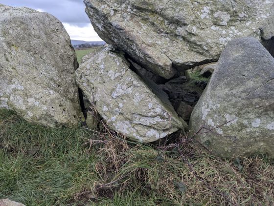 Trellyffaint (Dolmen / Quoit / Cromlech)