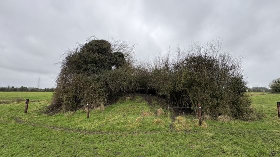 Lismahon (Artificial Mound)