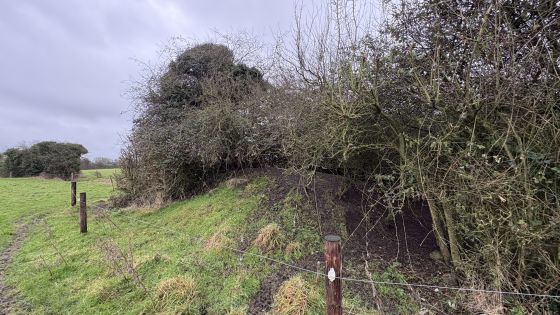Lismahon (Artificial Mound)