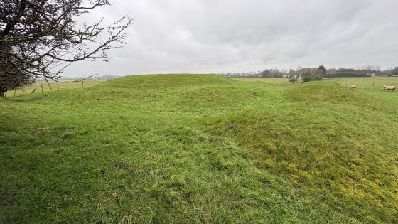 Rathregan (Round Barrow(s))