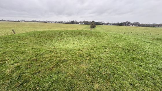 Rathregan (Round Barrow(s))