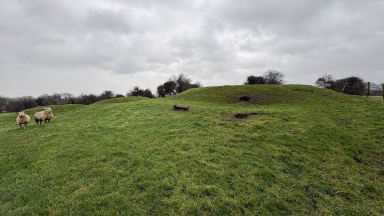 Rathregan (Round Barrow(s))
