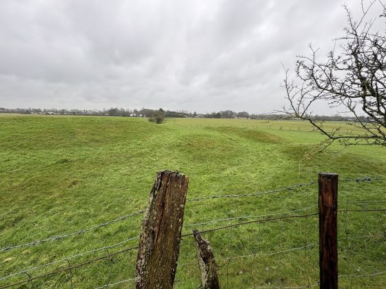 Rathregan (Round Barrow(s))
