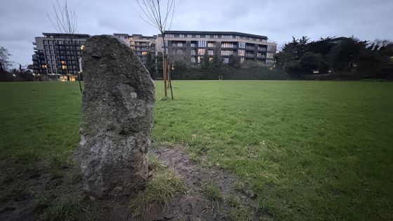 Leopardstown (Standing Stone / Menhir)