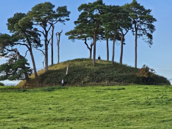 Lattin (Artificial Mound)