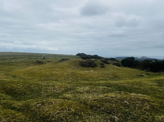 Newtown Hill Barrow (Round Barrow)