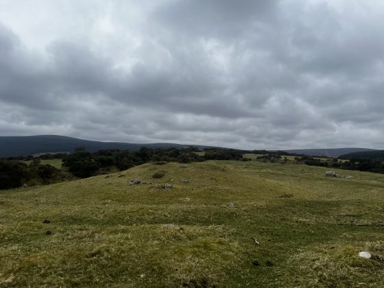 Newtown Hill Barrow (Round Barrow)