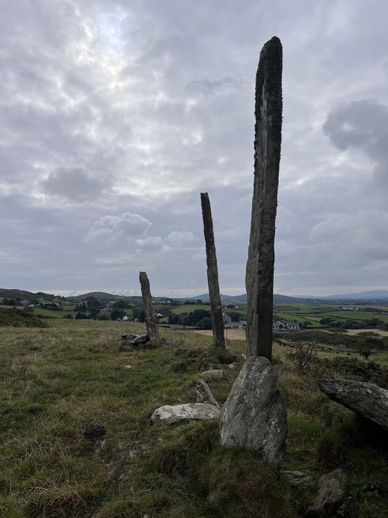 Gurranes (Stone Row / Alignment)