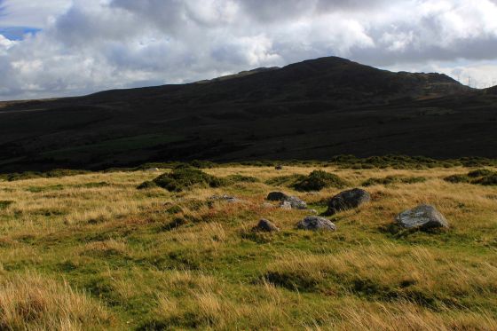 Garreg Fawr (Round Cairn)