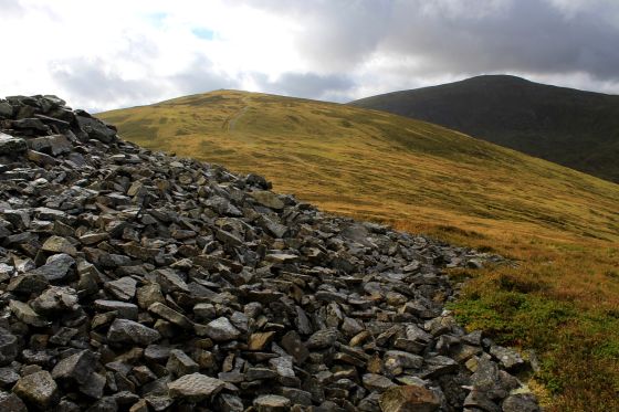 Carnedd y Ddelw (Cairn(s))