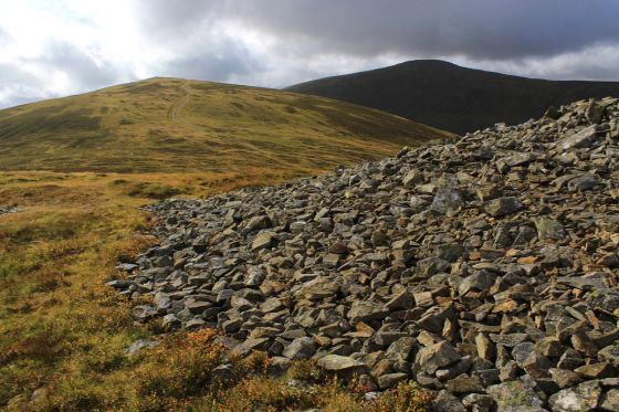 Carnedd y Ddelw (Cairn(s))