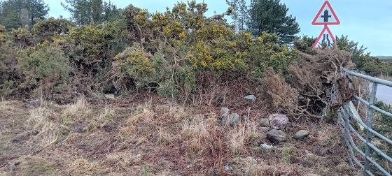 Cowiemuir (Cairn(s))