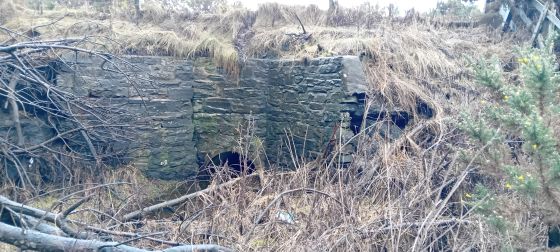 Cowiemuir (Cairn(s))