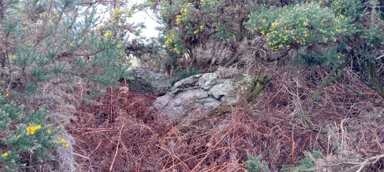 Cowiemuir (Cairn(s))