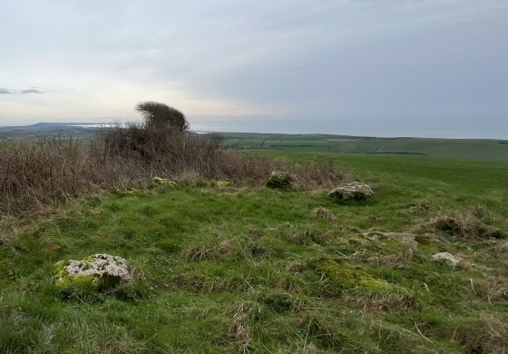Hampton Down (Stone Circle)
