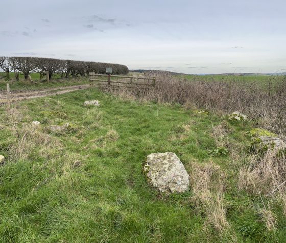 Hampton Down (Stone Circle)