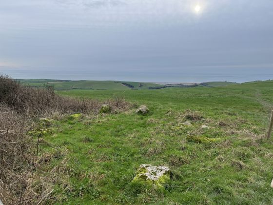 Hampton Down (Stone Circle)