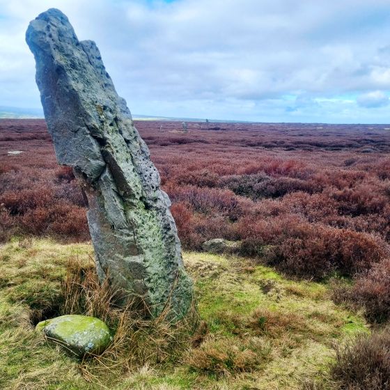 High Bridestones (Stone Circle)