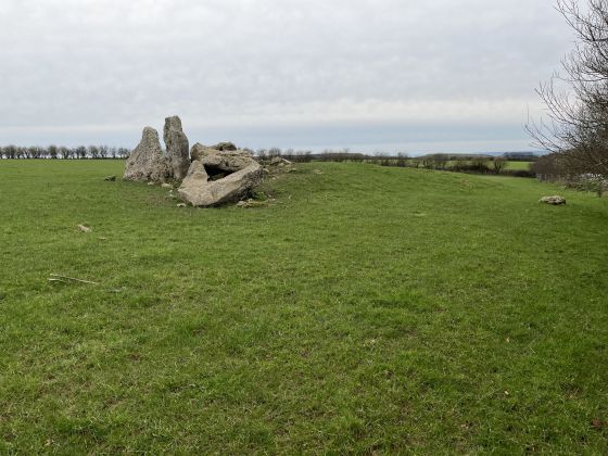 The Grey Mare & Her Colts (Long Barrow)