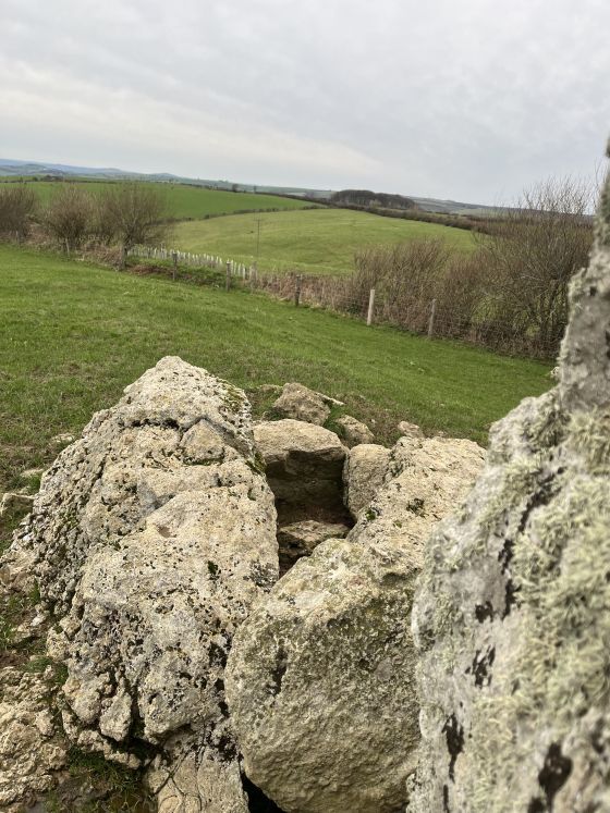 The Grey Mare & Her Colts (Long Barrow)
