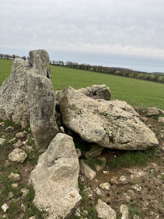 The Grey Mare & Her Colts (Long Barrow)