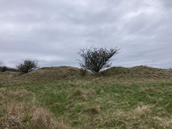 Coberley (Long Barrow)