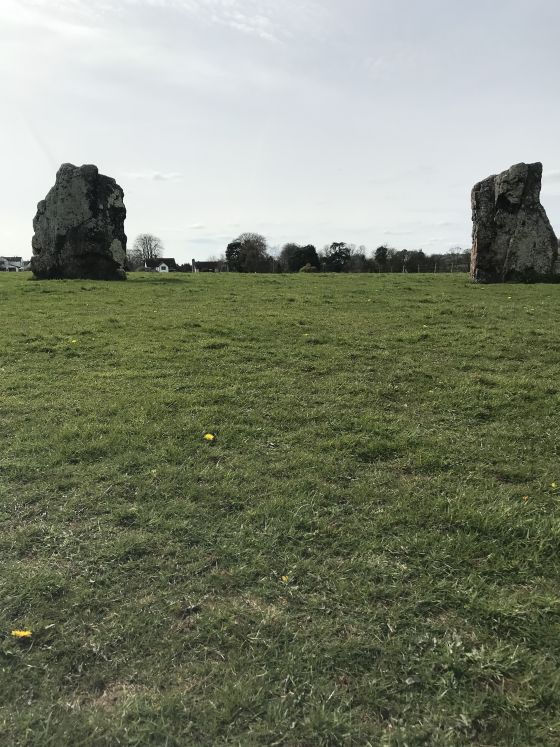 The Great Circle, North East Circle & Avenues (Stone Circle)