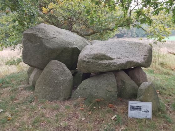 Bjerrebygaard (Dyssekammer)