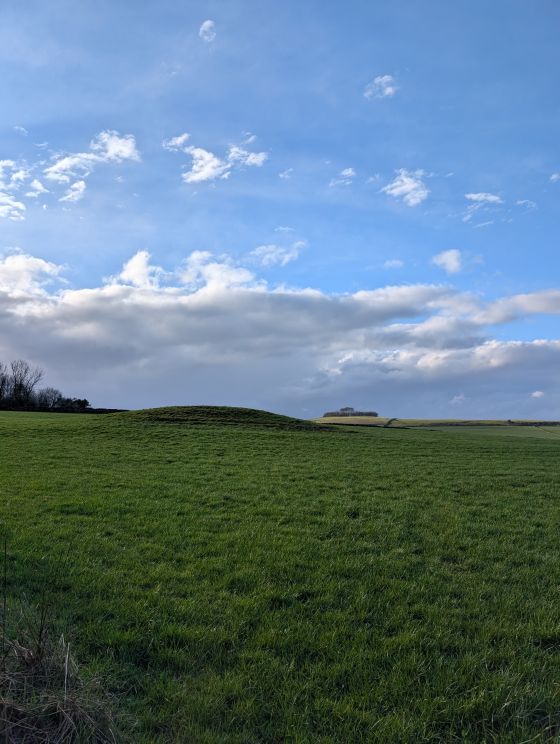 Galley Low (Round Barrow(s))