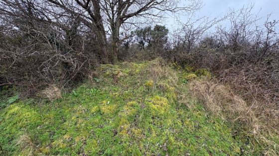 Aghakillymaud (Court Tomb)
