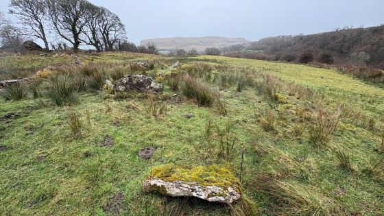 Rossinure Beg (Court Tomb)