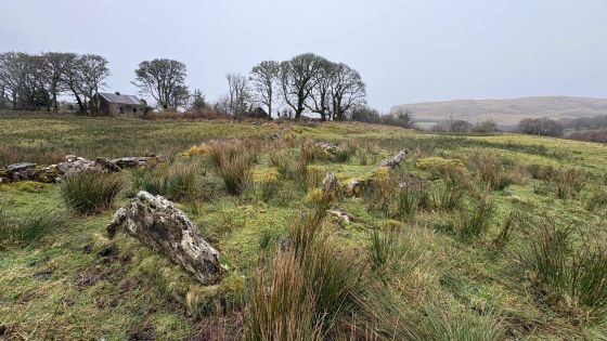 Rossinure Beg (Court Tomb)