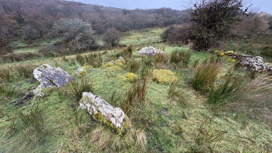 Rossinure Beg (Court Tomb)